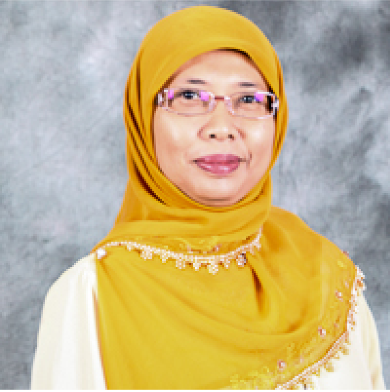 Dr Wan Sofiah Meor Osman